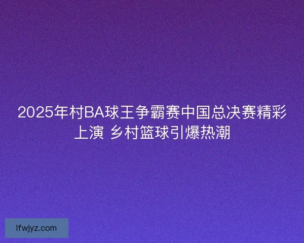 2025年村BA球王争霸赛中国总决赛精彩上演 乡村篮球引爆热潮